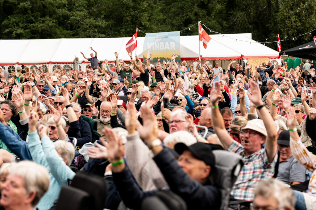 Festivalgæster ved Dansktopfestivalen